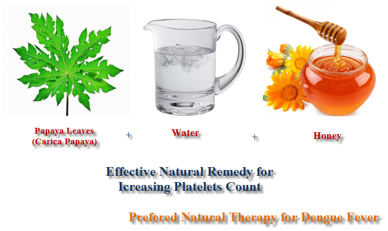 Natural Remedy for Increasing Platelets Count
