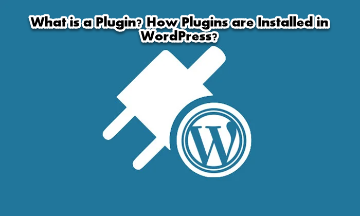 What Is A Plugin How Plugins Are Installed In WordPress